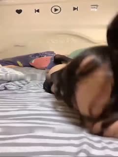 极品颜值魔鬼御姐 爆操无套内射 电动棒自慰高潮喷水